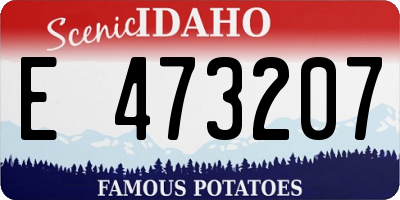 ID license plate E473207
