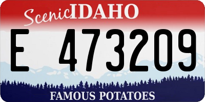 ID license plate E473209