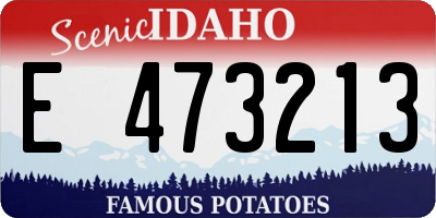 ID license plate E473213