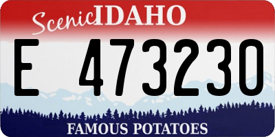 ID license plate E473230