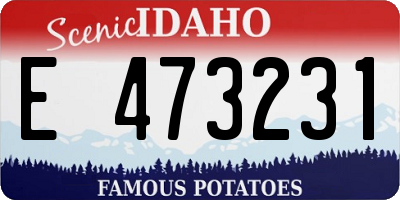 ID license plate E473231