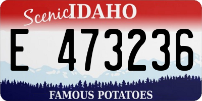 ID license plate E473236