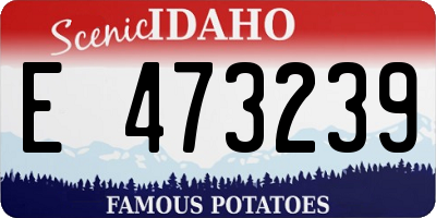 ID license plate E473239