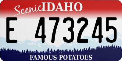 ID license plate E473245