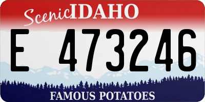 ID license plate E473246