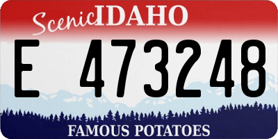 ID license plate E473248