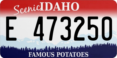 ID license plate E473250
