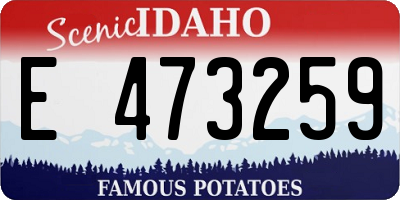 ID license plate E473259
