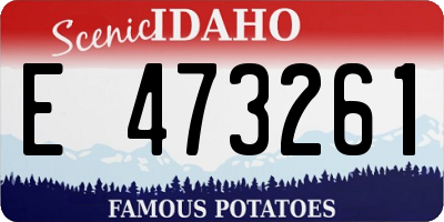 ID license plate E473261