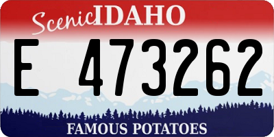 ID license plate E473262