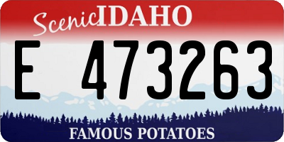 ID license plate E473263