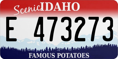 ID license plate E473273