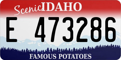 ID license plate E473286