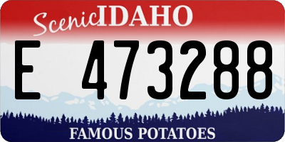 ID license plate E473288