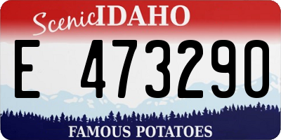 ID license plate E473290