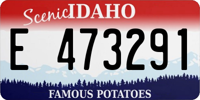 ID license plate E473291
