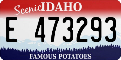 ID license plate E473293
