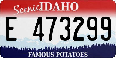 ID license plate E473299