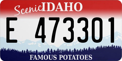 ID license plate E473301