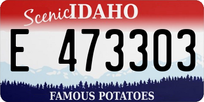 ID license plate E473303