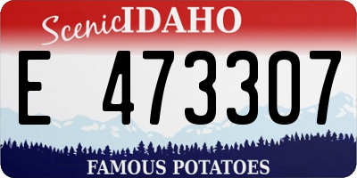ID license plate E473307