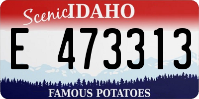 ID license plate E473313