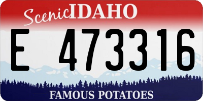 ID license plate E473316