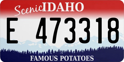 ID license plate E473318