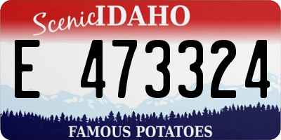 ID license plate E473324