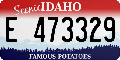 ID license plate E473329