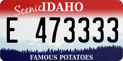 ID license plate E473333