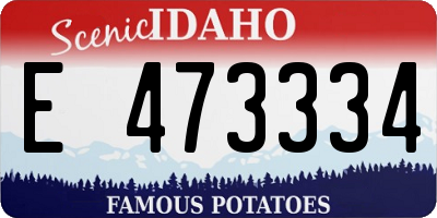 ID license plate E473334