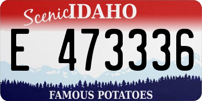 ID license plate E473336
