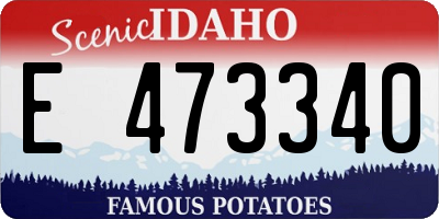 ID license plate E473340