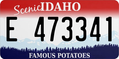 ID license plate E473341