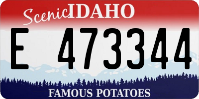 ID license plate E473344