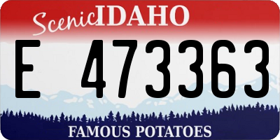 ID license plate E473363