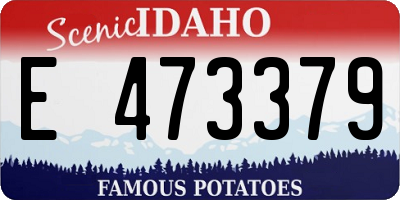 ID license plate E473379