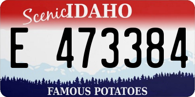 ID license plate E473384