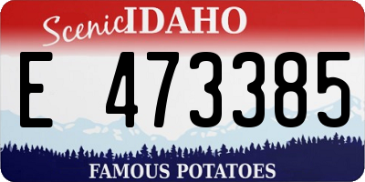 ID license plate E473385