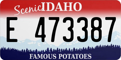 ID license plate E473387