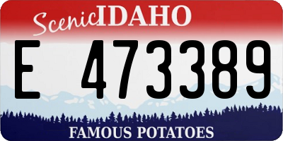 ID license plate E473389