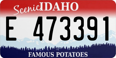 ID license plate E473391