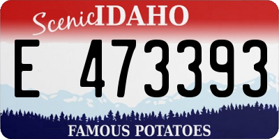 ID license plate E473393