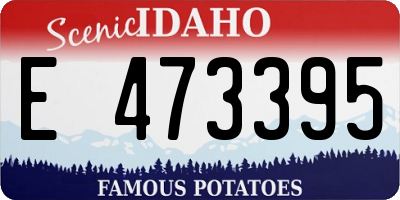 ID license plate E473395