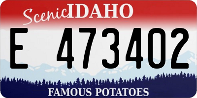 ID license plate E473402