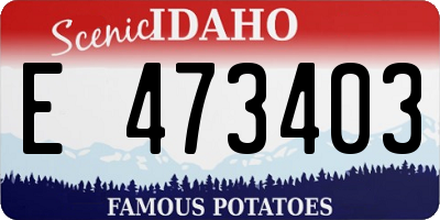ID license plate E473403
