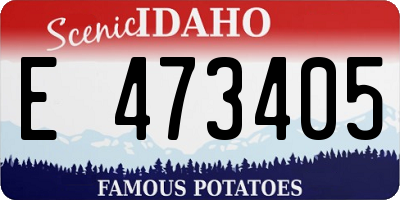 ID license plate E473405