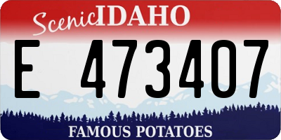ID license plate E473407