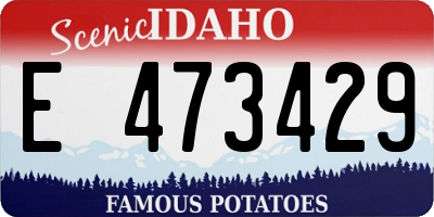 ID license plate E473429